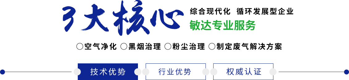 大鸡巴操大逼好舒服视频.........敏达环保科技（嘉兴）有限公司